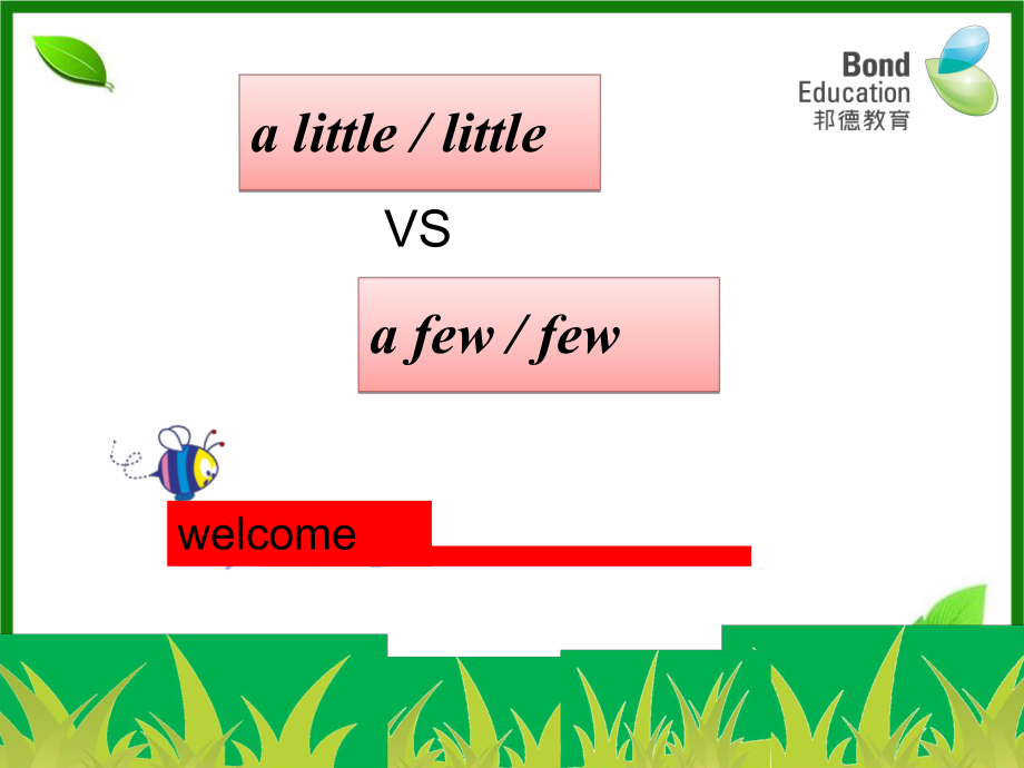 a-little-little-few-a-few-的用法.ppt_第2页