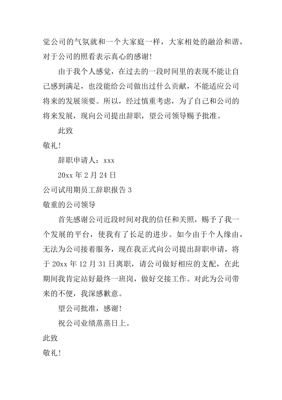 公司试用期员工辞职报告精品.docx_第2页