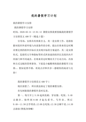 我的暑假学习计划例文.docx