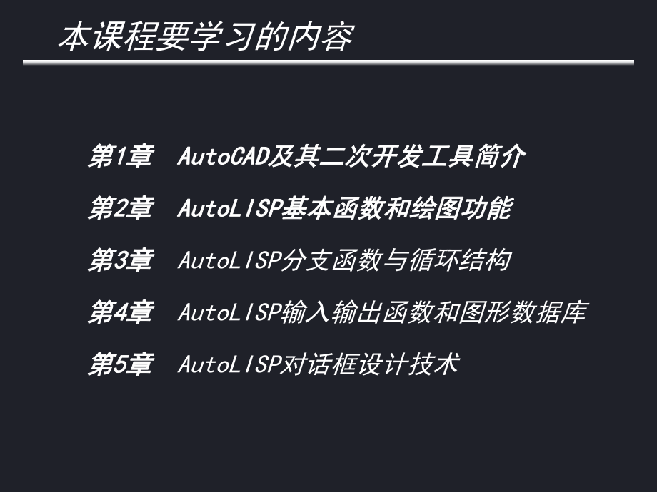 CAD二次开发技术课件(一、二)课案.ppt_第2页