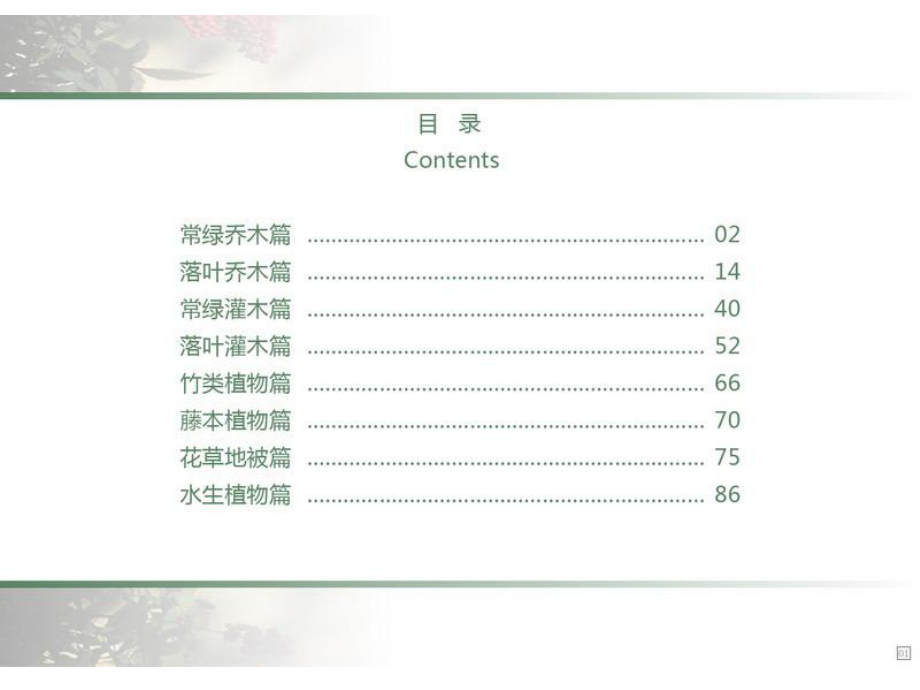 (精品)园林景观常用植物图例及文注.ppt_第2页