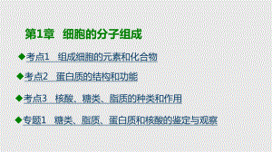 2021年(新高考)生物大一轮复习课件-第1章--细胞的分子组成ppt.pptx