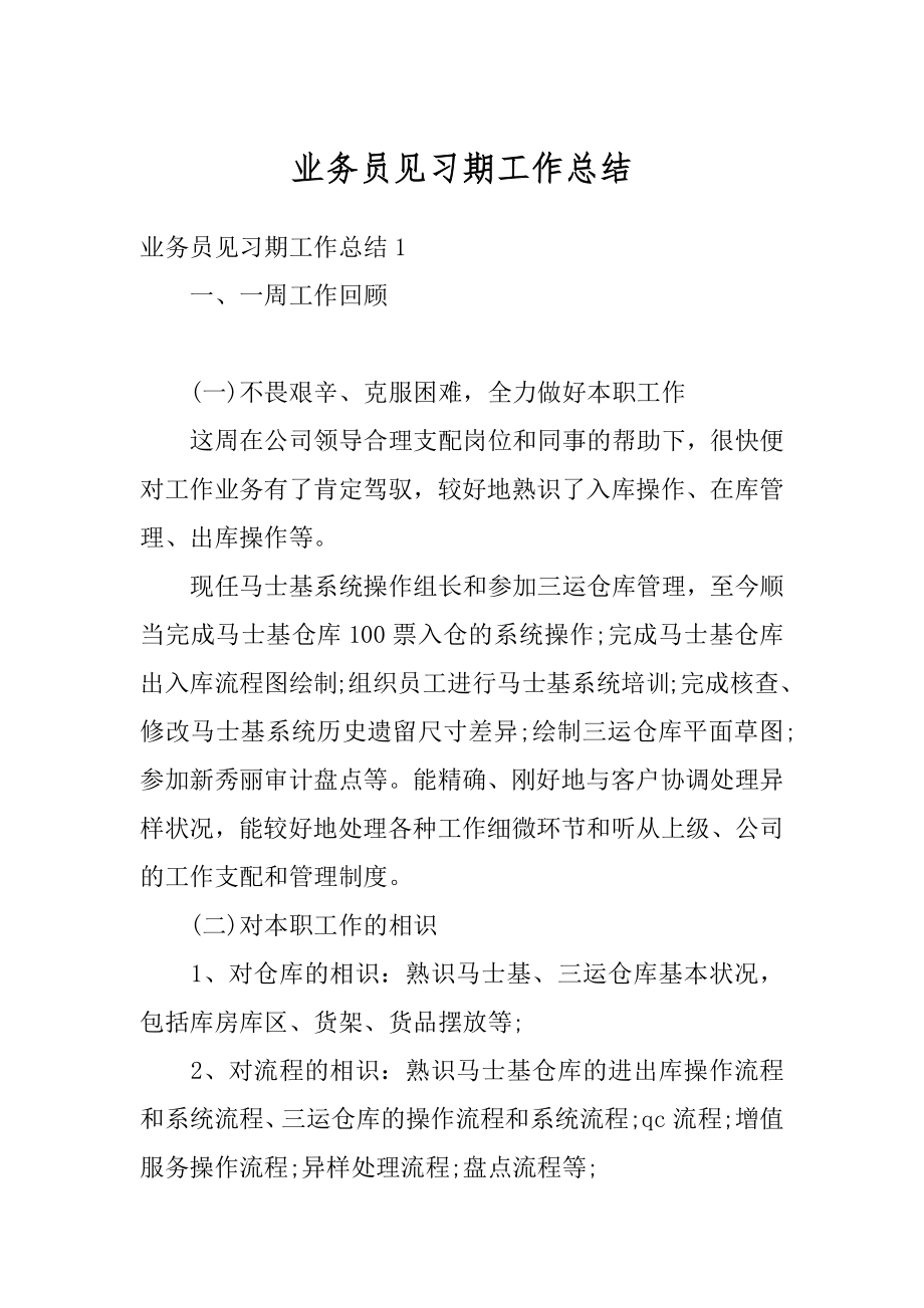 业务员见习期工作总结汇总.docx_第1页