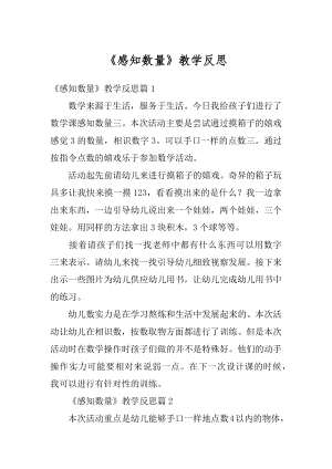 《感知数量》教学反思精品.docx