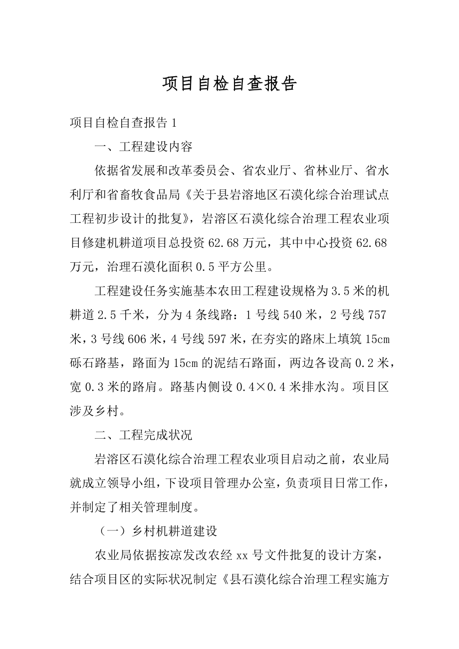 项目自检自查报告优质.docx_第1页