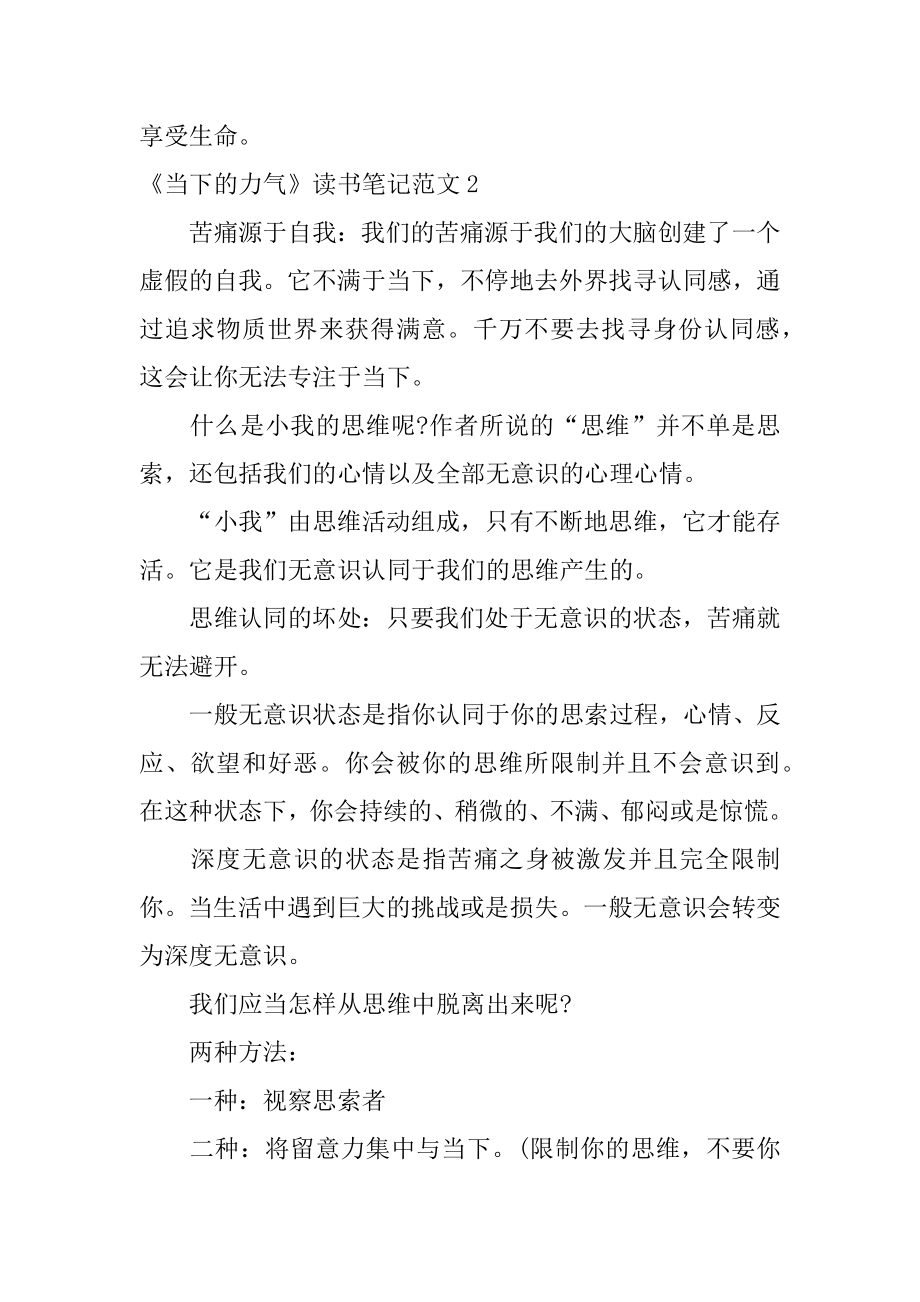 《当下的力量》读书笔记精选.docx_第2页