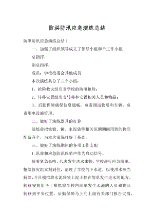 防洪防汛应急演练总结例文.docx