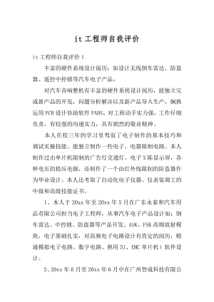 it工程师自我评价例文.docx