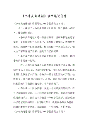 《小布头奇遇记》读书笔记优秀优质.docx