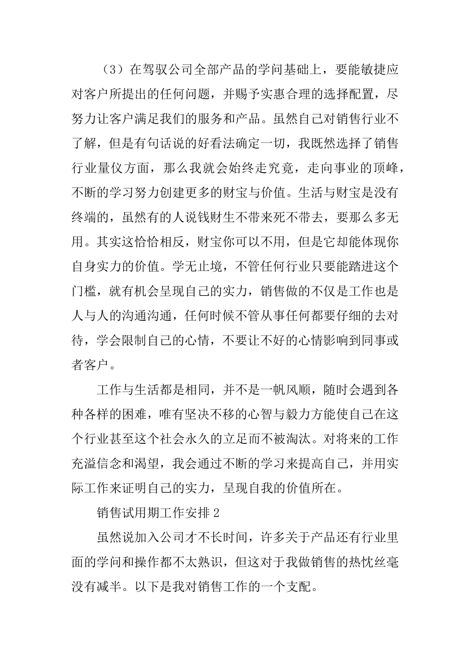 销售试用期的工作计划例文.docx_第2页