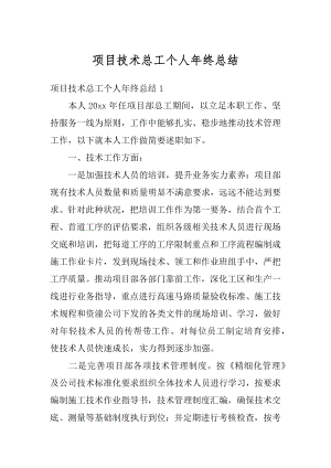 项目技术总工个人年终总结精品.docx