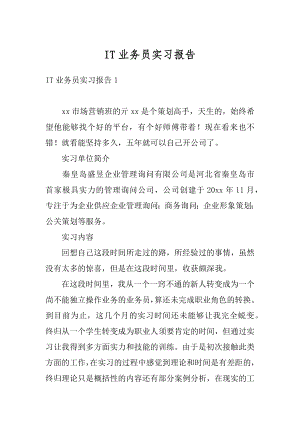 IT业务员实习报告汇编.docx