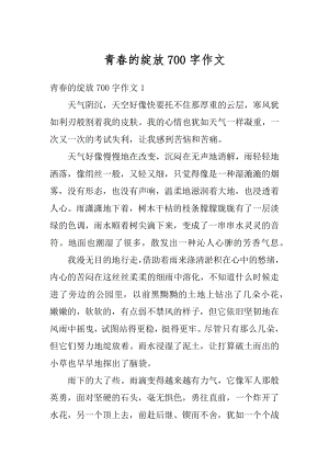 青春的绽放700字作文精品.docx