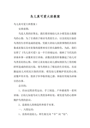 鸟儿真可爱大班教案例文.docx