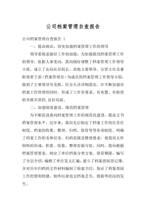 公司档案管理自查报告范文.docx