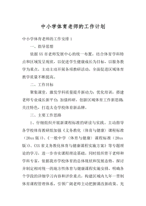 中小学体育老师的工作计划精编.docx