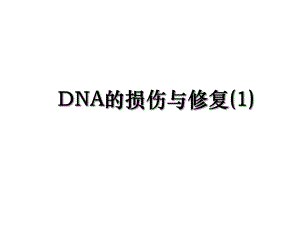 DNA的损伤与修复(1).ppt