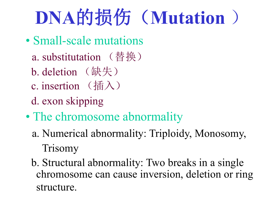 DNA的损伤与修复(1).ppt_第2页