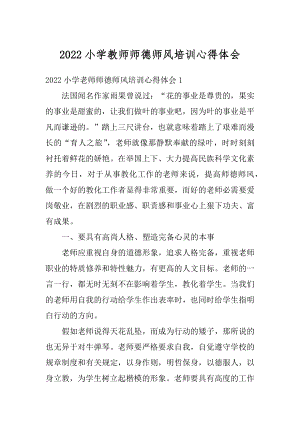 2022小学教师师德师风培训心得体会例文.docx