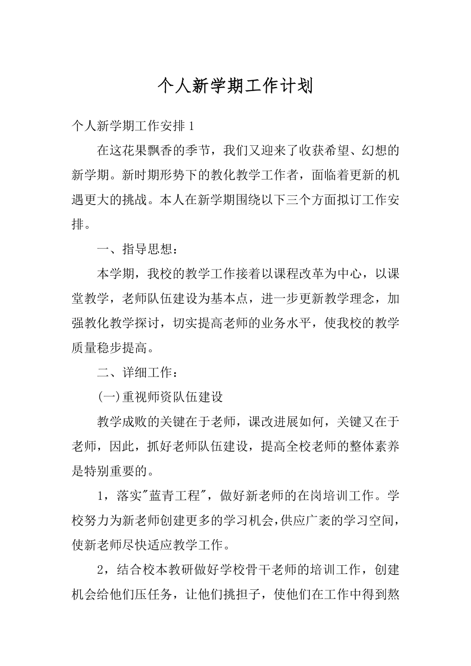 个人新学期工作计划精品.docx_第1页