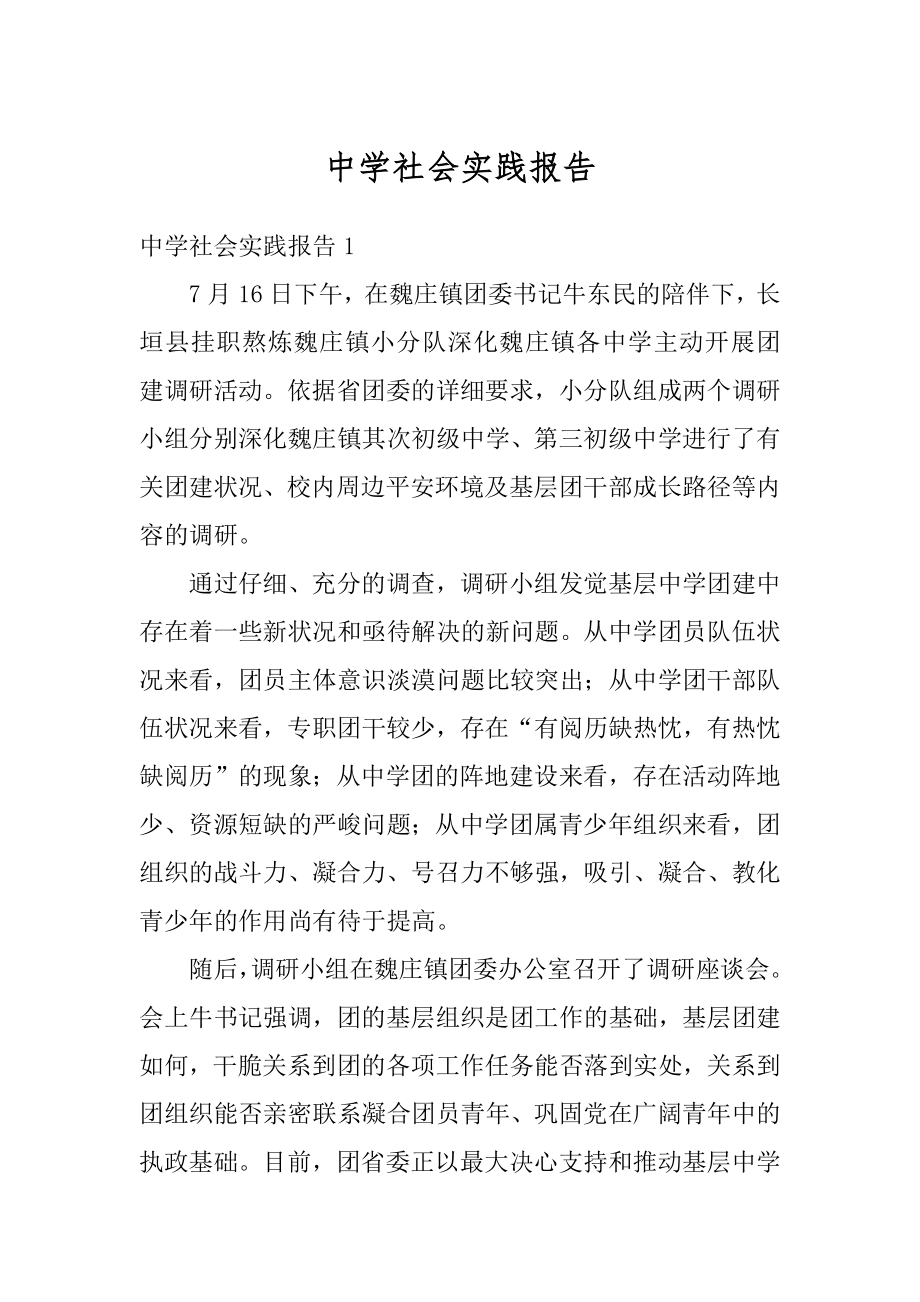 中学社会实践报告优质.docx_第1页