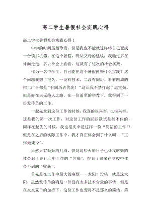 高二学生暑假社会实践心得范例.docx