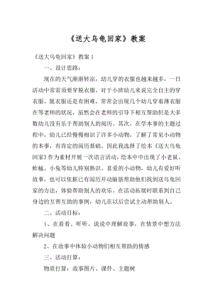 《送大乌龟回家》教案例文.docx