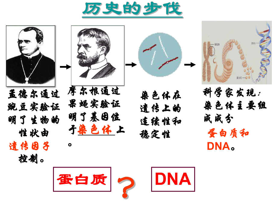 DNA是主要的遗传物质优质课件(参赛公开课用).ppt_第2页