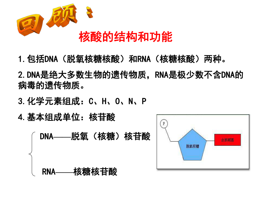 DNA分子的结构与复制(一轮复习)详解.ppt_第2页