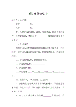 项目合伙协议书精编.docx