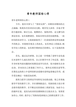 青年教师国培心得精品.docx