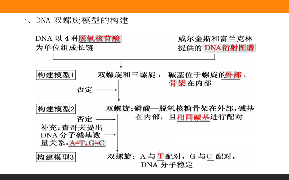 DNA分子的结构优质课课件.ppt_第2页