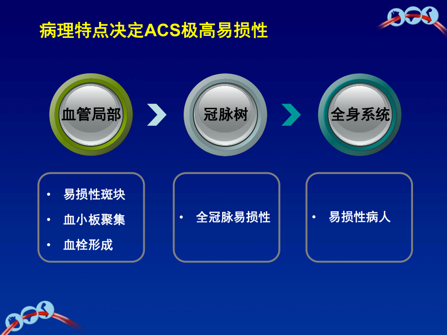 ACS疾病和长期抗血小板治疗的病理基础.ppt_第2页