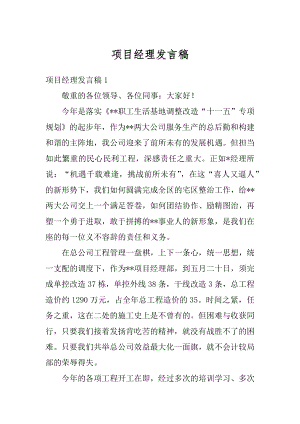 项目经理发言稿例文.docx