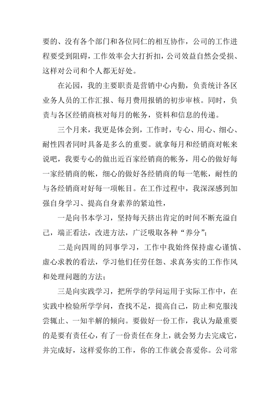 个人试用期转正的工作总结精编.docx_第2页