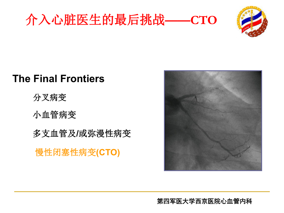 CTO病变介入治疗技巧(1).ppt_第2页