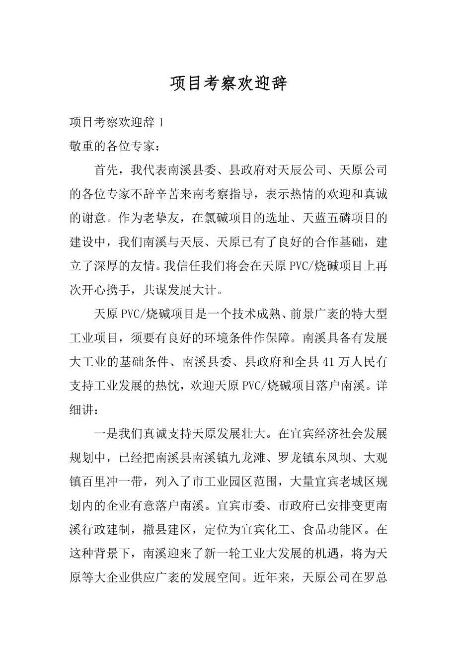 项目考察欢迎辞精编.docx_第1页