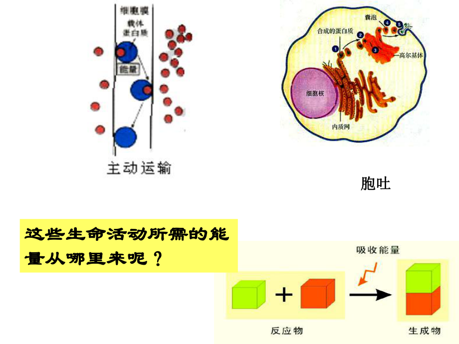 ATP高中生物完整版课件ppt.ppt_第1页