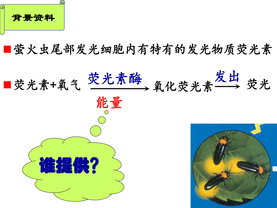 ATP高中生物完整版课件ppt.ppt_第2页