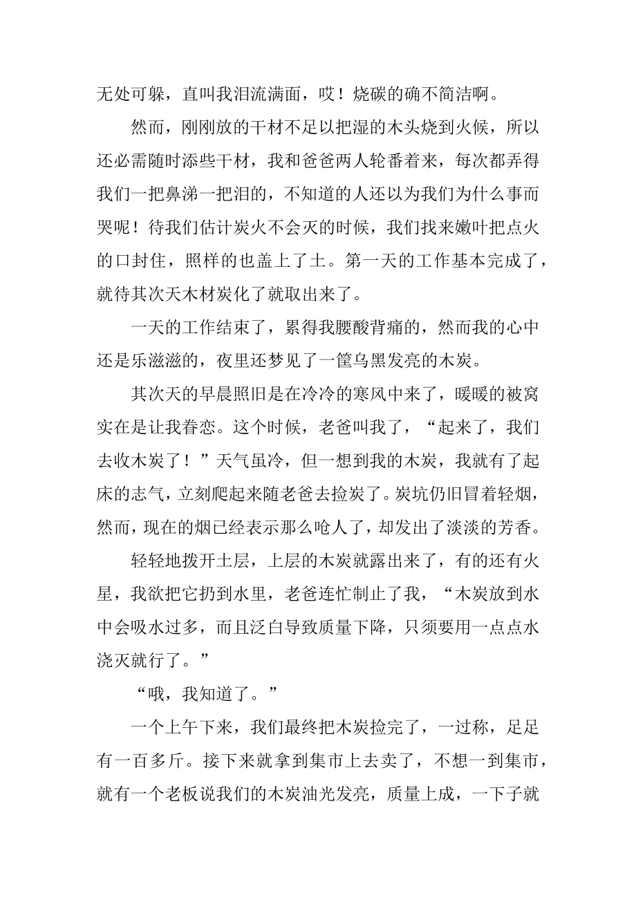 高中学生假期实践报告汇总.docx_第2页