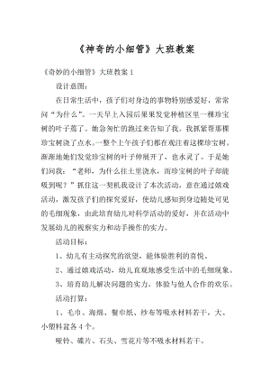 《神奇的小细管》大班教案精编.docx