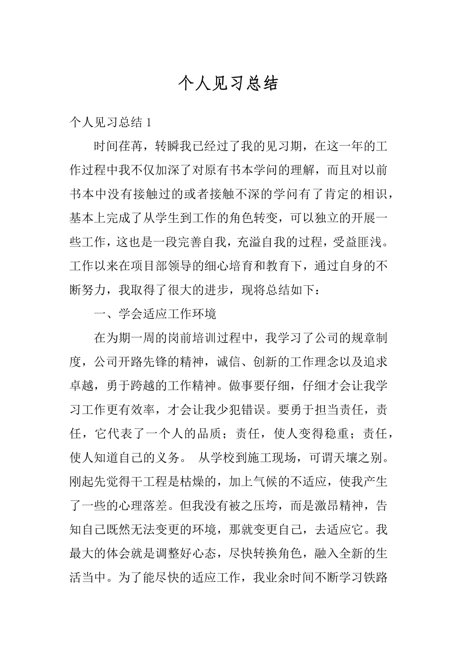 个人见习总结汇编.docx_第1页