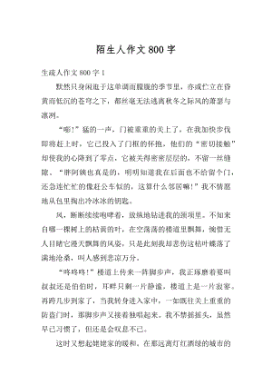 陌生人作文800字优质.docx