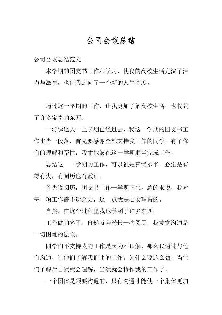 公司会议总结范本.docx_第1页