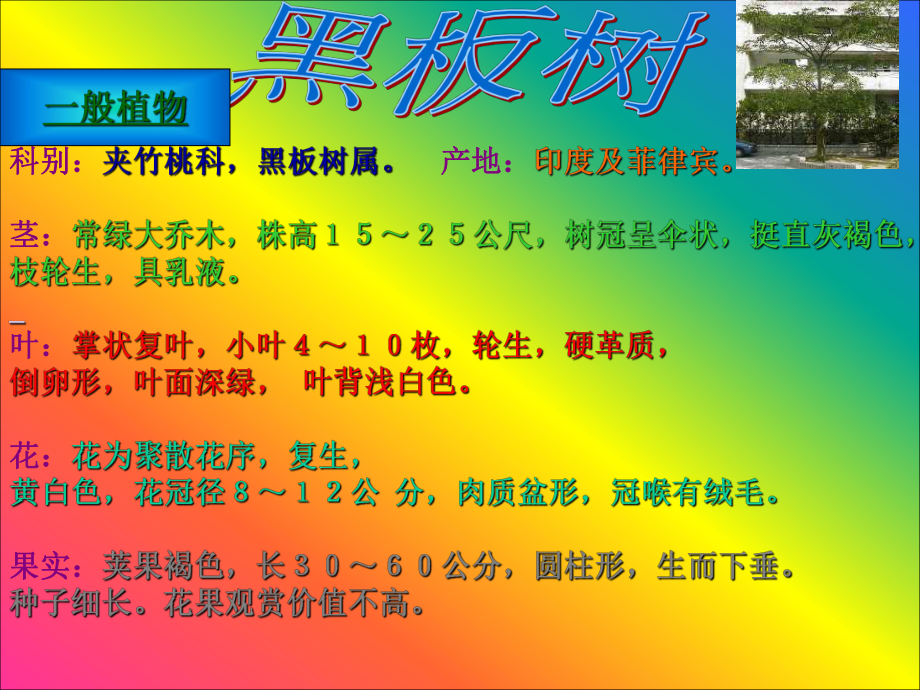 (鄂教版)四年级科学上册课件-校园里有哪些动植物-1全解.ppt_第2页