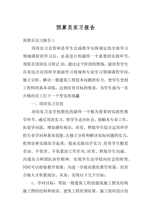 预算员实习报告汇总.docx