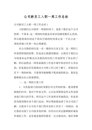 公司新员工入职一周工作总结例文.docx