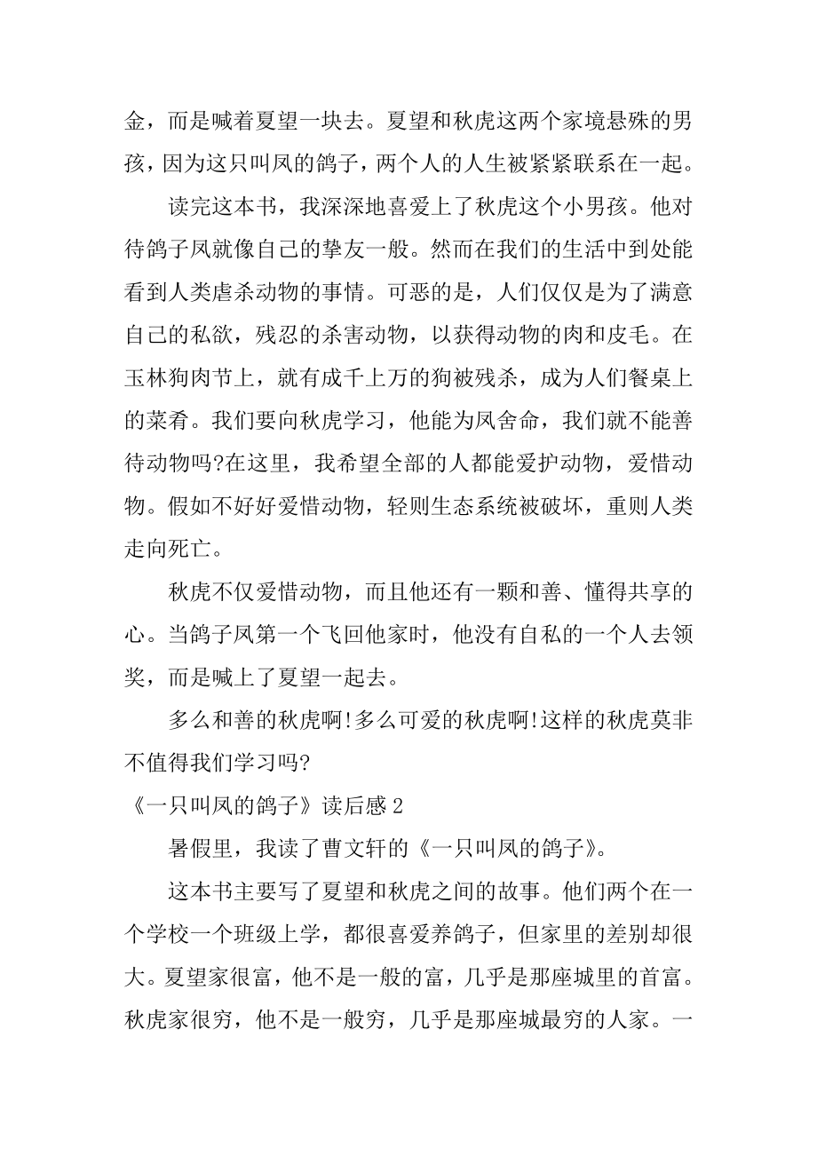 《一只叫凤的鸽子》读后感精编.docx_第2页