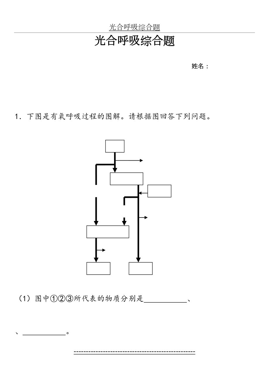 光合呼吸综合题及答案.doc_第2页