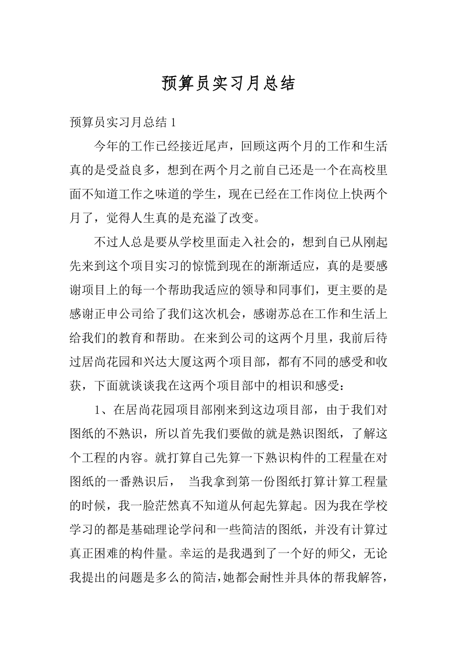 预算员实习月总结范例.docx_第1页